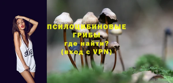 мет Абаза