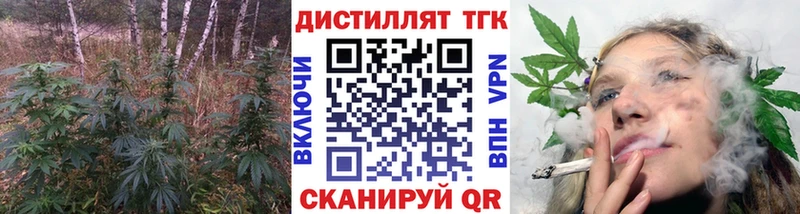 Дистиллят ТГК гашишное масло  OMG ссылки  Кинешма 