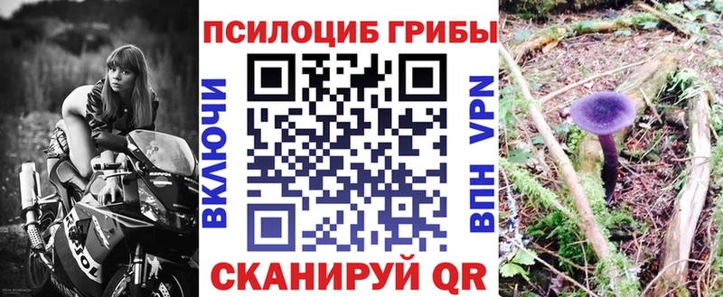 где купить   Кинешма  Галлюциногенные грибы мухоморы 